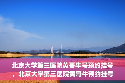 北京大学第三医院黄哥牛号预约挂号，北京大学第三医院黄哥牛预约挂号攻略，轻松预约专家号