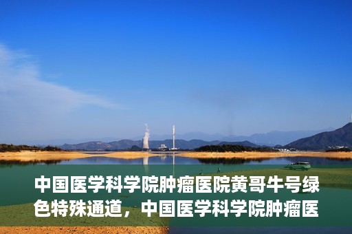 中国医学科学院肿瘤医院黄哥牛号绿色特殊通道，中国医学科学院肿瘤医院黄哥牛号，绿色特殊通道开启健康之门