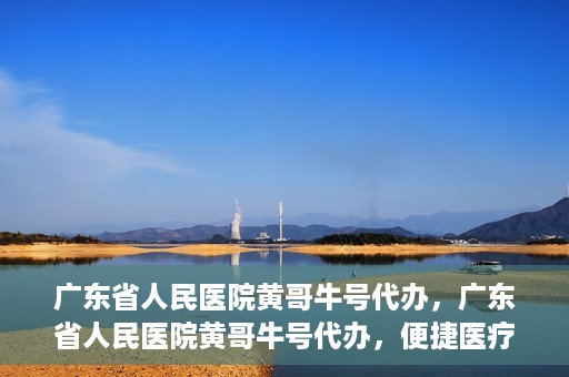 广东省人民医院黄哥牛号代办，广东省人民医院黄哥牛号代办，便捷医疗新途径