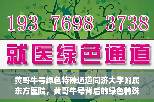 黄哥牛号绿色特殊通道同济大学附属东方医院，黄哥牛号背后的绿色特殊通道，同济大学附属东方医院的探索与实践