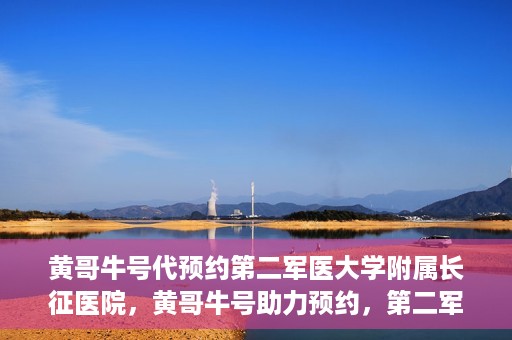 黄哥牛号代预约第二军医大学附属长征医院，黄哥牛号助力预约，第二军医大学附属长征医院挂号新体验