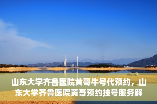 山东大学齐鲁医院黄哥牛号代预约，山东大学齐鲁医院黄哥预约挂号服务解析