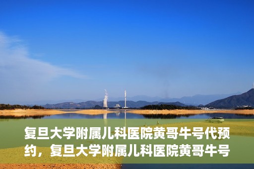 复旦大学附属儿科医院黄哥牛号代预约，复旦大学附属儿科医院黄哥牛号预约服务解析