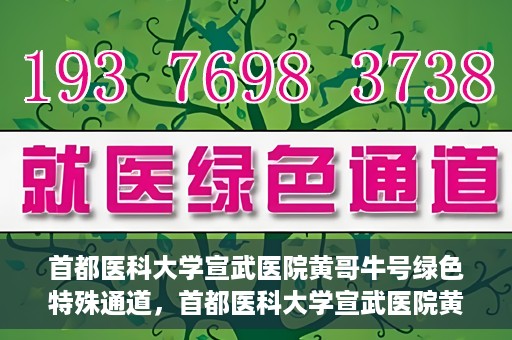 首都医科大学宣武医院黄哥牛号绿色特殊通道，首都医科大学宣武医院黄哥牛号，绿色特殊通道开启健康之门