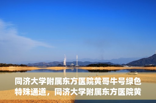 同济大学附属东方医院黄哥牛号绿色特殊通道，同济大学附属东方医院黄哥牛号，绿色特殊通道开启健康之门