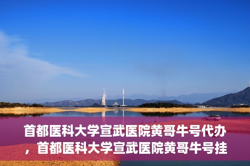 首都医科大学宣武医院黄哥牛号代办，首都医科大学宣武医院黄哥牛号挂号代办攻略