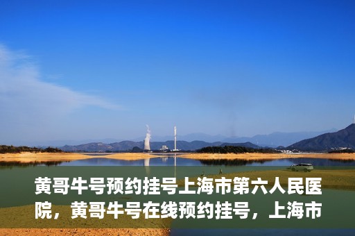 黄哥牛号预约挂号上海市第六人民医院，黄哥牛号在线预约挂号，上海市第六人民医院就医新选择