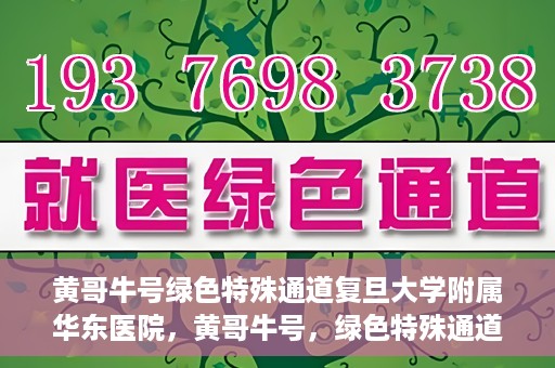 黄哥牛号绿色特殊通道复旦大学附属华东医院，黄哥牛号，绿色特殊通道揭秘，华东医院新篇章开启