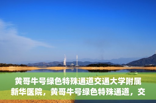 黄哥牛号绿色特殊通道交通大学附属新华医院，黄哥牛号绿色特殊通道，交通大学附属新华医院的探索与实践