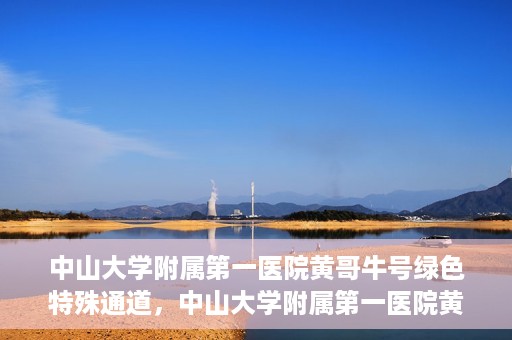 中山大学附属第一医院黄哥牛号绿色特殊通道，中山大学附属第一医院黄哥牛号，绿色特殊通道开启健康之门