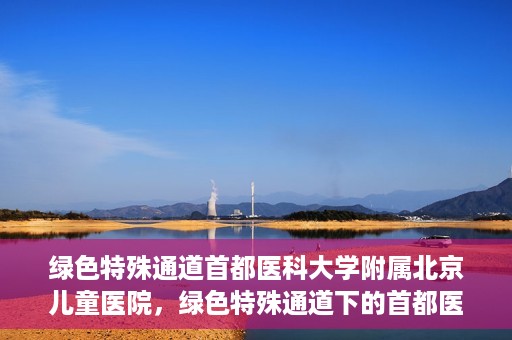 绿色特殊通道首都医科大学附属北京儿童医院，绿色特殊通道下的首都医科大学附属北京儿童医院，守护儿童健康的守护者