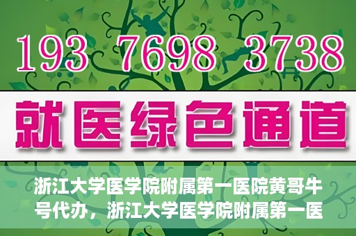 浙江大学医学院附属第一医院黄哥牛号代办，浙江大学医学院附属第一医院黄哥牛号业务代办全攻略