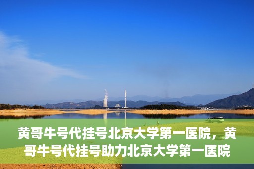 黄哥牛号代挂号北京大学第一医院，黄哥牛号代挂号助力北京大学第一医院就医便捷化