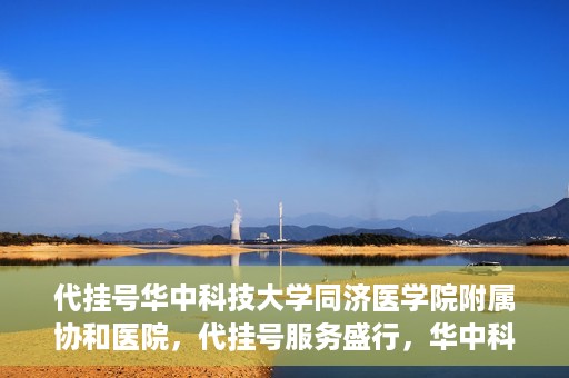 代挂号华中科技大学同济医学院附属协和医院，代挂号服务盛行，华中科技大学同济医学院附属协和医院如何应对挑战？