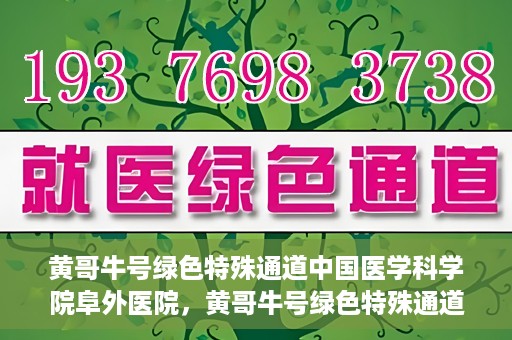 黄哥牛号绿色特殊通道中国医学科学院阜外医院，黄哥牛号绿色特殊通道，阜外医院的中国医学探索之旅