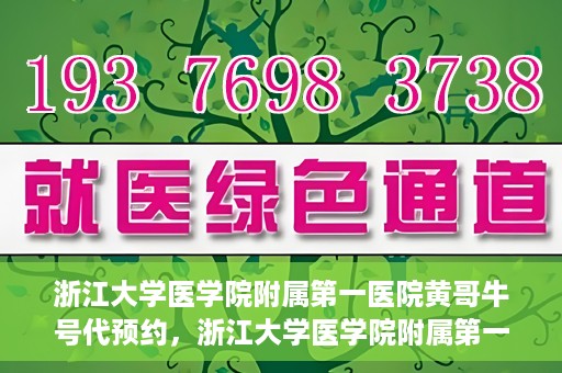 浙江大学医学院附属第一医院黄哥牛号代预约，浙江大学医学院附属第一医院黄哥牛号预约攻略揭秘