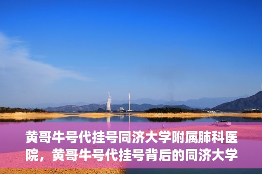 黄哥牛号代挂号同济大学附属肺科医院，黄哥牛号代挂号背后的同济大学附属肺科医院就医故事
