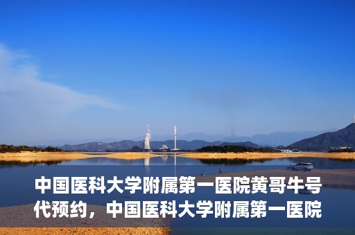 中国医科大学附属第一医院黄哥牛号代预约，中国医科大学附属第一医院黄哥牛号预约服务详解