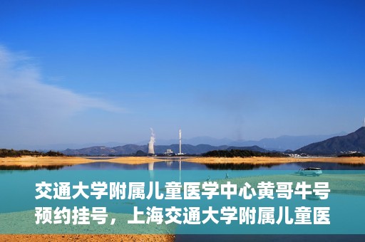 交通大学附属儿童医学中心黄哥牛号预约挂号，上海交通大学附属儿童医学中心黄哥牛专家预约挂号攻略