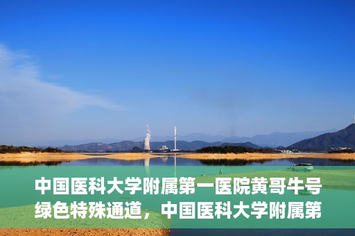 中国医科大学附属第一医院黄哥牛号绿色特殊通道，中国医科大学附属第一医院黄哥牛号，绿色特殊通道的开启与探索