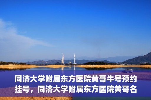 同济大学附属东方医院黄哥牛号预约挂号，同济大学附属东方医院黄哥名医牛号预约挂号攻略
