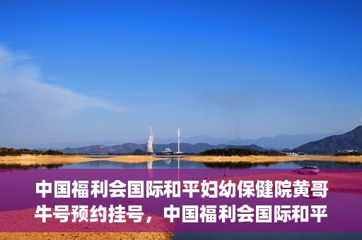 中国福利会国际和平妇幼保健院黄哥牛号预约挂号，中国福利会国际和平妇幼保健院黄哥牛号——预约挂号攻略