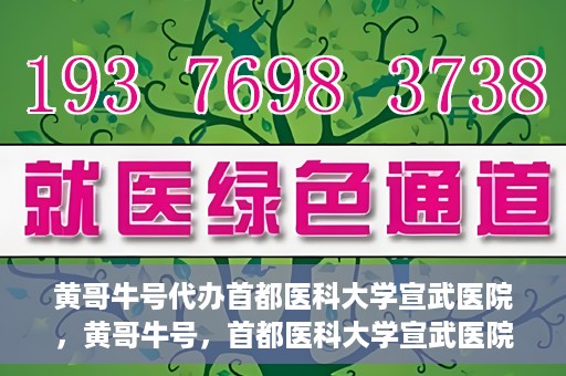 黄哥牛号代办首都医科大学宣武医院，黄哥牛号，首都医科大学宣武医院代办服务