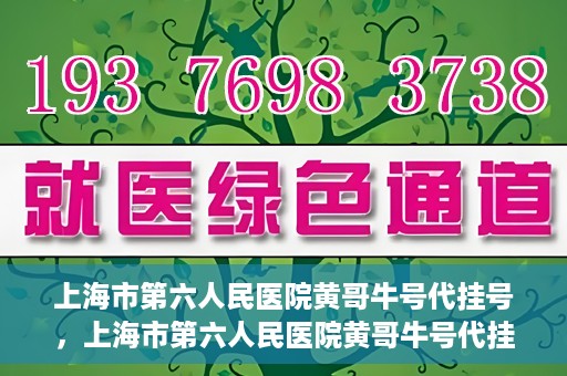 上海市第六人民医院黄哥牛号代挂号，上海市第六人民医院黄哥牛号代挂号攻略揭秘