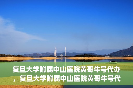 复旦大学附属中山医院黄哥牛号代办，复旦大学附属中山医院黄哥牛号代办，权威医疗资源的深度解读与便捷服务体验