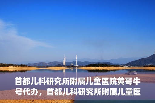 首都儿科研究所附属儿童医院黄哥牛号代办，首都儿科研究所附属儿童医院黄哥牛号业务代办全解析
