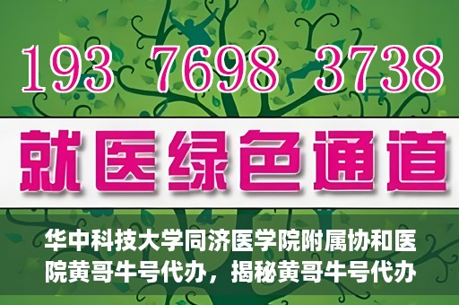 华中科技大学同济医学院附属协和医院黄哥牛号代办，揭秘黄哥牛号代办背后的故事，华中科技大学同济医学院附属协和医院就医新途径探索