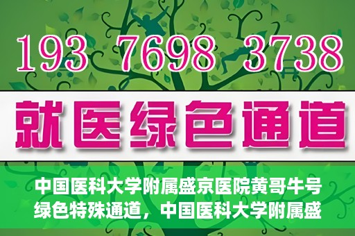 中国医科大学附属盛京医院黄哥牛号绿色特殊通道，中国医科大学附属盛京医院黄哥牛号，绿色特殊通道开启健康之门