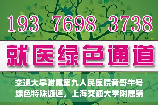 交通大学附属第九人民医院黄哥牛号绿色特殊通道，上海交通大学附属第九人民医院黄哥牛号，绿色特殊通道开启健康之门