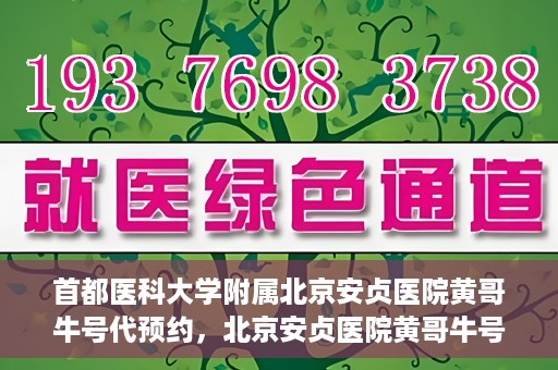 首都医科大学附属北京安贞医院黄哥牛号代预约，北京安贞医院黄哥牛号预约服务解析