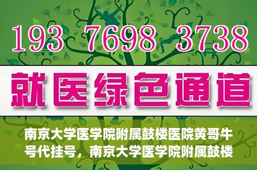 南京大学医学院附属鼓楼医院黄哥牛号代挂号，南京大学医学院附属鼓楼医院黄哥牛号代挂号解析，专业解读与预约攻略