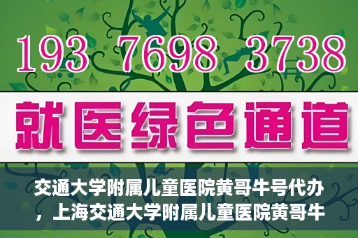 交通大学附属儿童医院黄哥牛号代办，上海交通大学附属儿童医院黄哥牛号代办揭秘，真相与警示