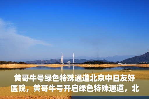 黄哥牛号绿色特殊通道北京中日友好医院，黄哥牛号开启绿色特殊通道，北京中日友好医院助力健康之路