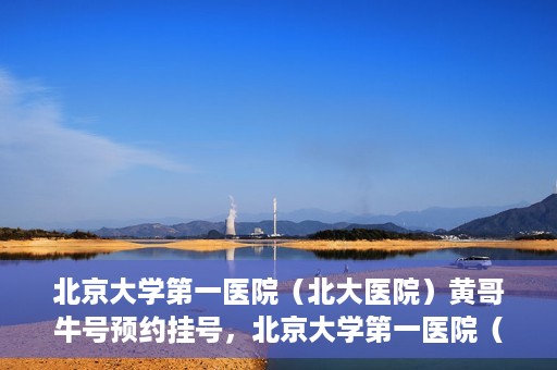 北京大学第一医院（北大医院）黄哥牛号预约挂号，北京大学第一医院（北大医院）黄哥牛号，预约挂号攻略