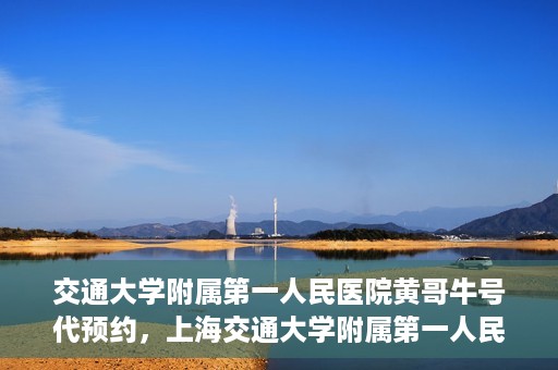 交通大学附属第一人民医院黄哥牛号代预约，上海交通大学附属第一人民医院黄哥预约挂号攻略，便捷预约，轻松就医