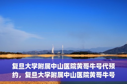 复旦大学附属中山医院黄哥牛号代预约，复旦大学附属中山医院黄哥牛号预约服务解析