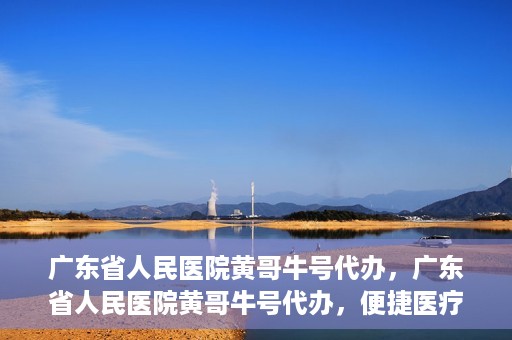 广东省人民医院黄哥牛号代办，广东省人民医院黄哥牛号代办，便捷医疗新途径