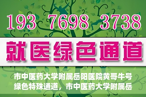 市中医药大学附属岳阳医院黄哥牛号绿色特殊通道，市中医药大学附属岳阳医院黄哥牛号，绿色特殊通道开启健康之门
