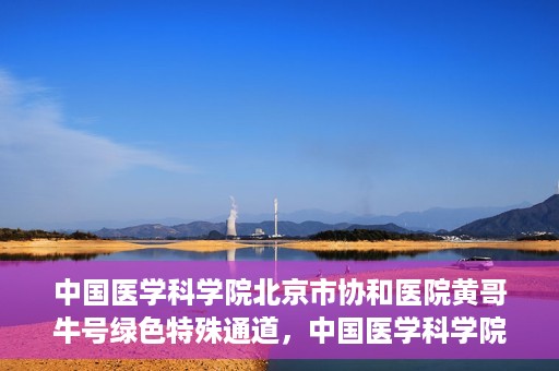 中国医学科学院北京市协和医院黄哥牛号绿色特殊通道，中国医学科学院北京市协和医院黄哥牛号，绿色特殊通道开启健康之门
