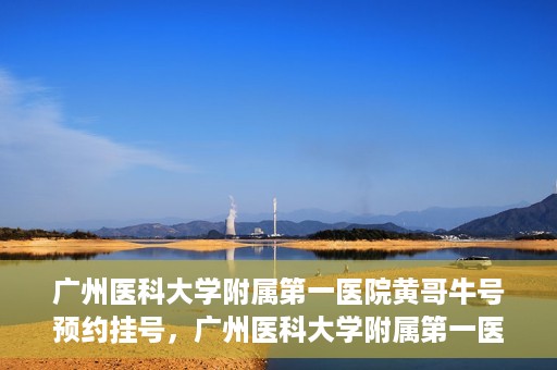广州医科大学附属第一医院黄哥牛号预约挂号，广州医科大学附属第一医院黄哥名医牛号预约挂号攻略