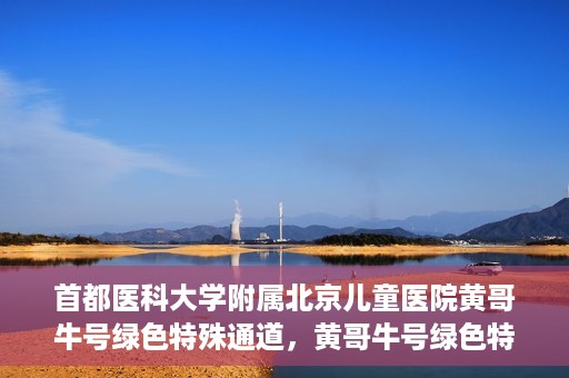 首都医科大学附属北京儿童医院黄哥牛号绿色特殊通道，黄哥牛号绿色特殊通道——北京儿童医院创新医疗服务的探索与实践