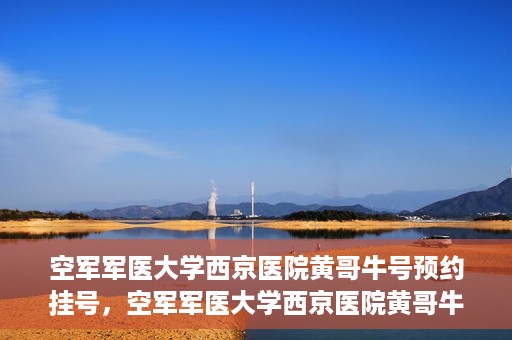空军军医大学西京医院黄哥牛号预约挂号，空军军医大学西京医院黄哥牛医生预约挂号攻略