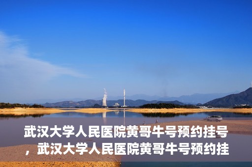 武汉大学人民医院黄哥牛号预约挂号，武汉大学人民医院黄哥牛号预约挂号攻略解析