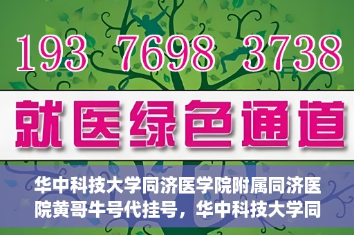 华中科技大学同济医学院附属同济医院黄哥牛号代挂号，华中科技大学同济医院黄哥牛号代挂号背后的故事