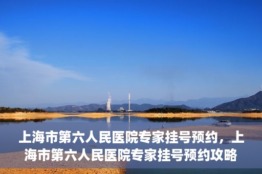 上海市第六人民医院专家挂号预约，上海市第六人民医院专家挂号预约攻略，一站式解决您的就医需求
