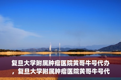 复旦大学附属肿瘤医院黄哥牛号代办，复旦大学附属肿瘤医院黄哥牛号代办，真相揭秘与深度解析